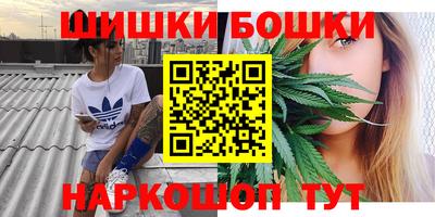 крисы Заводоуковск