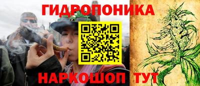 индика Заволжье