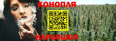 крисы Заводоуковск