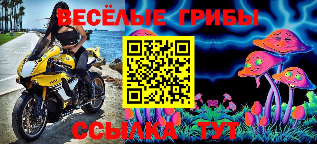 Можайск  Псилоцибиновые грибы MAGIC MUSHROOMS  Вход с VPN 