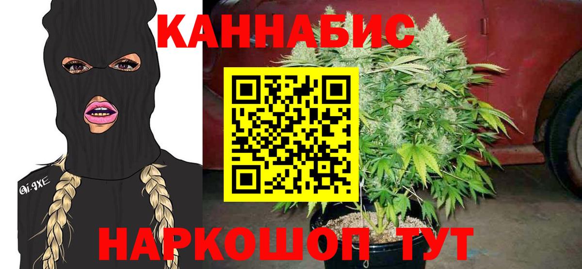 Бошки марихуана гибрид  Вход с VPN  Канабис тримм  Канабис сатива  Можайск 